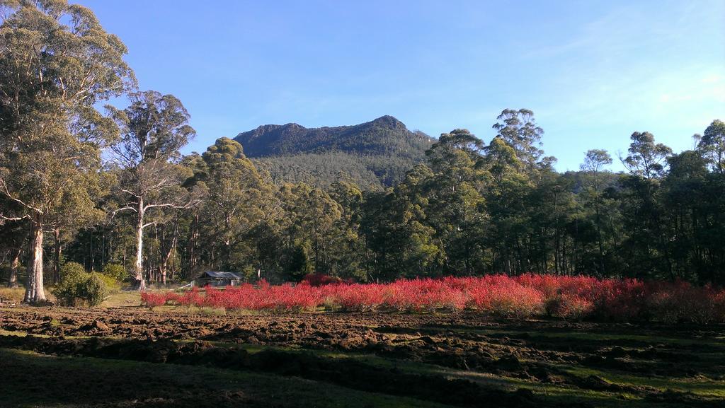 Mountain Blue Guest House เดโลเรน ภายนอก รูปภาพ